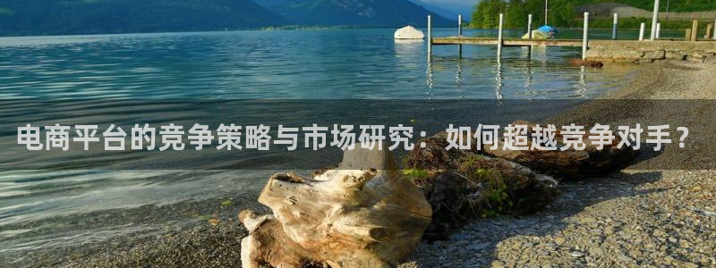 乐竞电竞app：电商平台的竞争策略与市场研究：如何超越竞争对手？